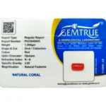 Red Coral Stone-6 Carat (6.61 Ratti)-Origin-Italy - Image 2