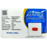 Red Coral Stone-6.33 Carat (6.96 Ratti)-Origin-Italy - Image 2