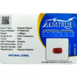 Red Coral Stone-6.43 Carat (7.06 Ratti)-Origin-Italy - Image 2