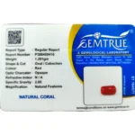 Red Coral Stone-6.45 Carat (7.09 Ratti)-Origin-Italy - Image 2