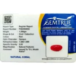 Red Coral Stone-6.53 Carat (7.17 Ratti)-Origin-Italy - Image 2