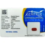 Red Coral Stone-6.54 Carat (7.19 Ratti)-Origin-Italy - Image 2