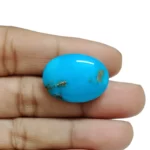 Irani Turquoise (Firoza)- 18.45 Carat (20.27 Ratti)-Origin-Iran - Image 3