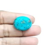 Irani Turquoise (Firoza)- 21.8 Carat (23.95 Ratti)-Origin-Iran - Image 4