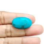 Irani Turquoise (Firoza)- 16.7 Carat (18.35 Ratti)-Origin-Iran - Image 4