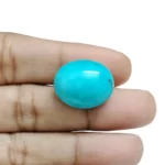 Irani Turquoise (Firoza)- 14 Carat (15.38 Ratti)-Origin-Iran - Image 3