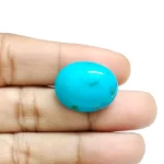 Irani Turquoise (Firoza)- 14.45 Carat (15.87 Ratti)-Origin-Iran - Image 3