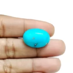 Irani Turquoise (Firoza)- 10.85 Carat (11.92 Ratti)-Origin-Iran - Image 3