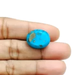 Irani Turquoise (Firoza)- 12.55 Carat (13.79 Ratti)-Origin-Iran - Image 4