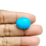 Irani Turquoise (Firoza)- 12.55 Carat (13.79 Ratti)-Origin-Iran - Image 3