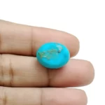 Irani Turquoise (Firoza)- 8.15 Carat (8.95 Ratti)-Origin-Iran - Image 4