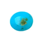 Irani Turquoise (Firoza)- 6.5 Carat (7.19 Ratti)-Origin-Iran - Image 2