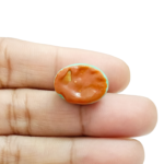 American Turquoise-10.65 Carat(11.70 Ratti)-Origin-Arizona - Image 4