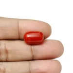 Red Coral Stone-6.82 Carat (7.49 Ratti)-Origin-Italy - Image 4