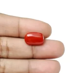 Red Coral Stone-6.82 Carat (7.49 Ratti)-Origin-Italy - Image 5