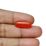 Red Coral Stone - 6.4 Carat(7.03 Ratti)-Origin-Italy - Image 4