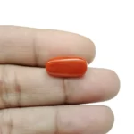 Red Coral Stone - 5.45 Carat (5.98 Ratti)-Origin-Italy - Image 4