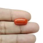 Red Coral Stone - 5.45 Carat (5.98 Ratti)-Origin-Italy - Image 3