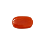 Red Coral Stone - 5.57 Carat (6.12 Ratti)-Origin-Italy - Image 3