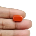 Red Coral Stone - 5.57 Carat (6.12 Ratti)-Origin-Italy - Image 5