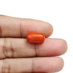 Red Coral Stone - 5.57 Carat (6.12 Ratti)-Origin-Italy - Image 4