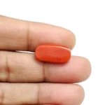 Red Coral Stone-6.75 Carat (7.41 Ratti)-Origin-Italy - Image 5