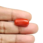 Red Coral Stone-6.75 Carat (7.41 Ratti)-Origin-Italy - Image 4