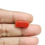Red Coral Stone-6 Carat (6.59 Ratti)-Origin-Italy - Image 5
