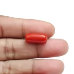 Red Coral Stone-6.37 Carat (7 Ratti)-Origin-Italy - Image 4
