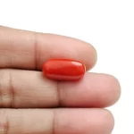 Red Coral Stone-6.88 Carat (7.56 Ratti)-Origin-Italy - Image 5
