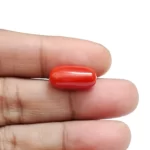 Red Coral Stone-6.88 Carat (7.56 Ratti)-Origin-Italy - Image 4