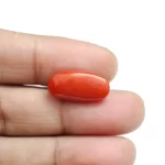 Red Coral Stone-6.53 Carat (7.17 Ratti)-Origin-Italy - Image 5