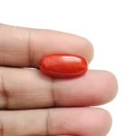 Red Coral Stone-6.53 Carat (7.17 Ratti)-Origin-Italy - Image 4