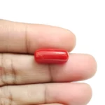Red Coral Stone-6 Carat (6.59 Ratti)-Origin-Italy - Image 4