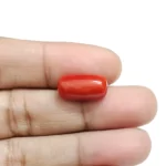 Red Coral Stone-6.68 Carat (7.34 Ratti)-Origin-Italy - Image 4