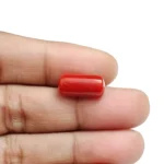 Red Coral Stone-6.33 Carat (6.96 Ratti)-Origin-Italy - Image 5