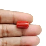 Red Coral Stone-6.45 Carat (7.09 Ratti)-Origin-Italy - Image 4