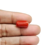 Red Coral Stone-6.45 Carat (7.09 Ratti)-Origin-Italy - Image 5