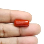 Red Coral Stone-6.15 Carat (6.75 Ratti)-Origin-Italy - Image 4