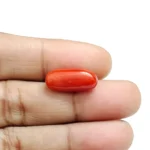 Red Coral Stone - 6.75 Carat(7.41 Ratti)-Origin-Italy - Image 4