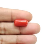 Red Coral Stone-6.43 Carat (7.06 Ratti)-Origin-Italy - Image 4