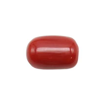 Red Coral Stone-6.82 Carat (7.49 Ratti)-Origin-Italy
