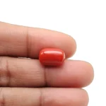Red Coral Stone - 5.7 Carat (6.26 Ratti)-Origin-Italy - Image 3