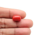 Red Coral Stone - 5.7 Carat (6.26 Ratti)-Origin-Italy - Image 4