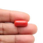 Red Coral Stone-5.65 Carat (6.21 Ratti)-Origin-Italy - Image 4