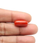 Red Coral Stone-5.69 Carat (6.25 Ratti)-Origin-Italy - Image 4