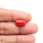 Red Coral Stone - 5.15 Carat (5.65 Ratti)-Origin-Italy - Image 3