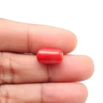 Red Coral Stone - 5.15 Carat (5.65 Ratti)-Origin-Italy - Image 4
