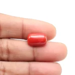 Red Coral Stone-5.98 Carat (6.57 Ratti)-Origin-Italy - Image 4