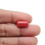 Red Coral Stone-5.62 Carat (6.17 Ratti)-Origin-Italy - Image 4